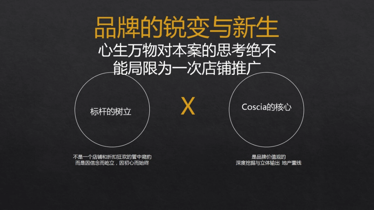 深圳心生万物-Coscia品牌传播方案_第2页