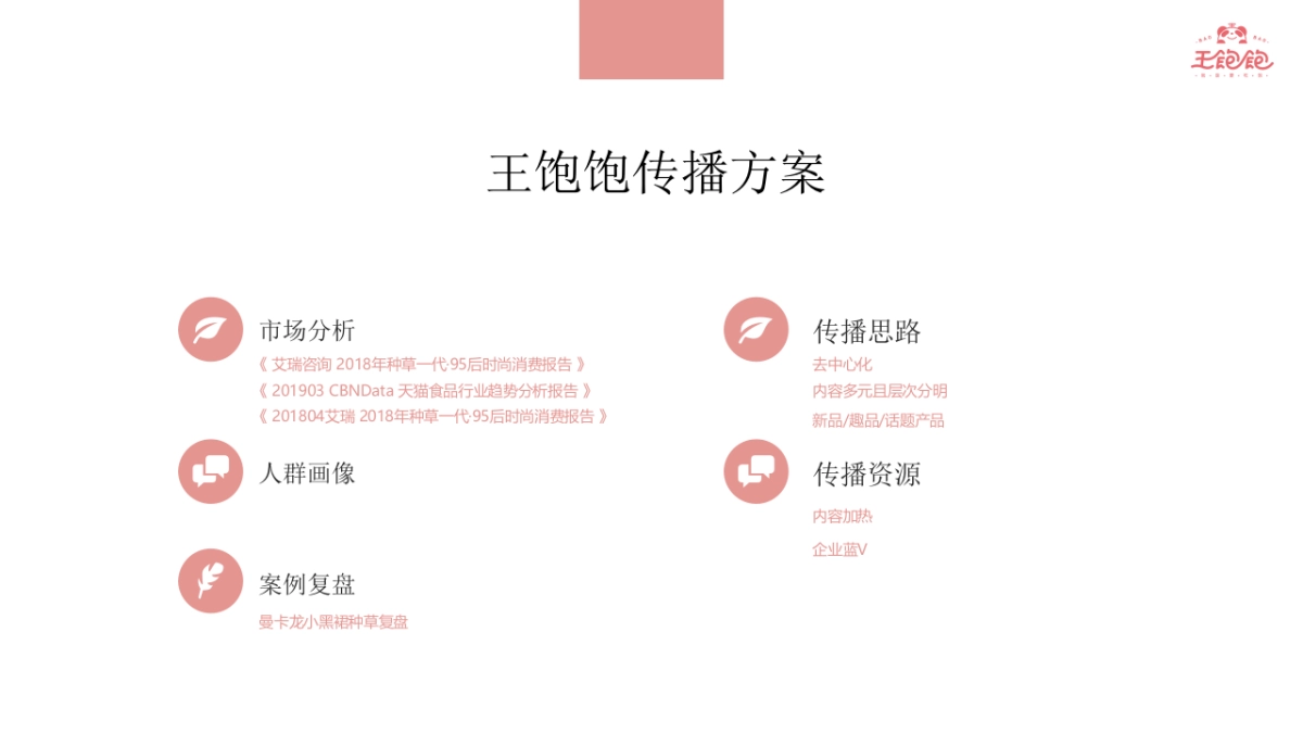 王饱饱传播方案_第2页