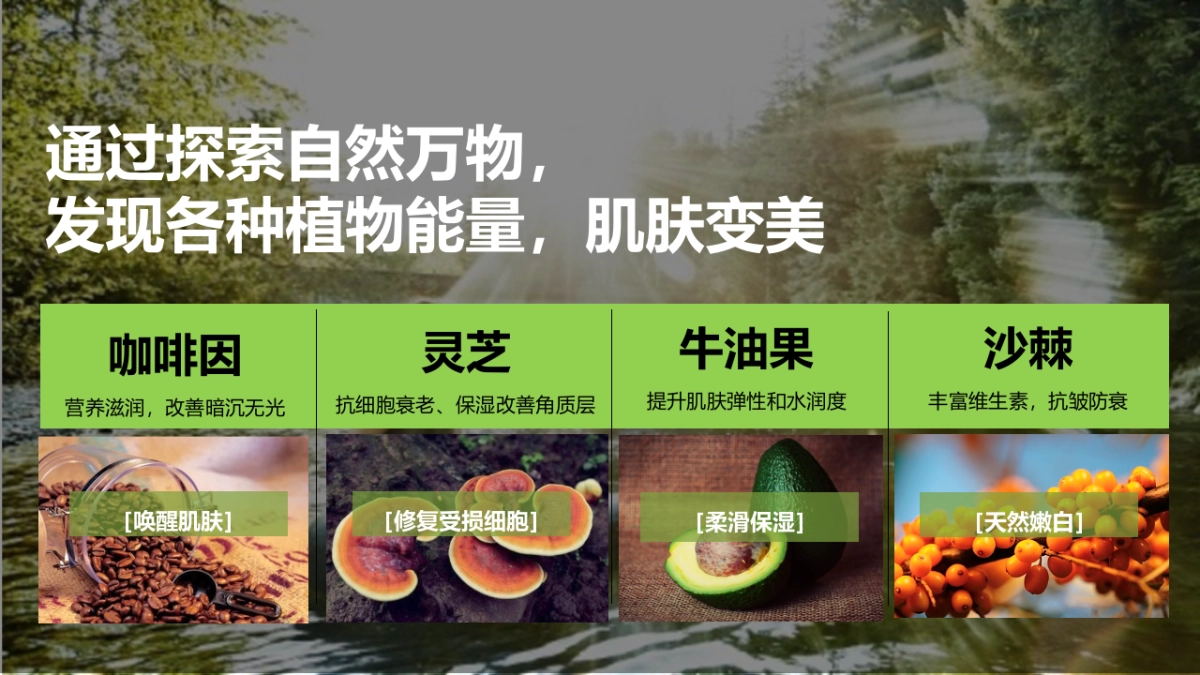 韦博士Origins灵芝焕能精华水品牌传播案_第10页