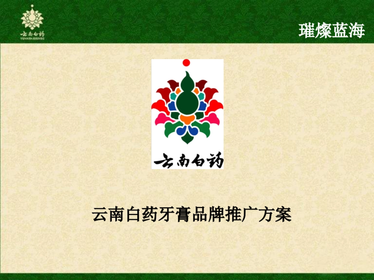 云南白药牙膏品牌传播方案_第1页