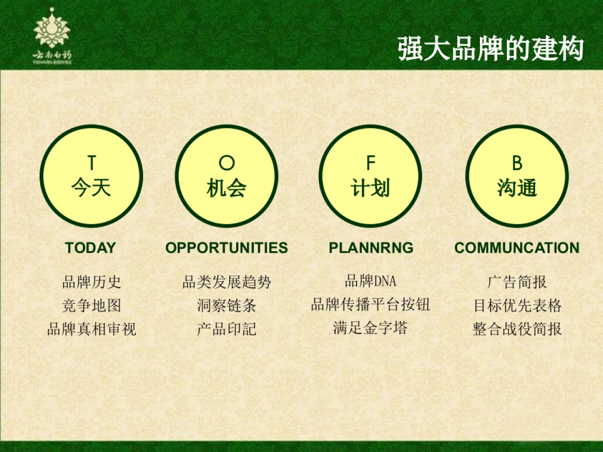 云南白药牙膏品牌传播方案_第10页