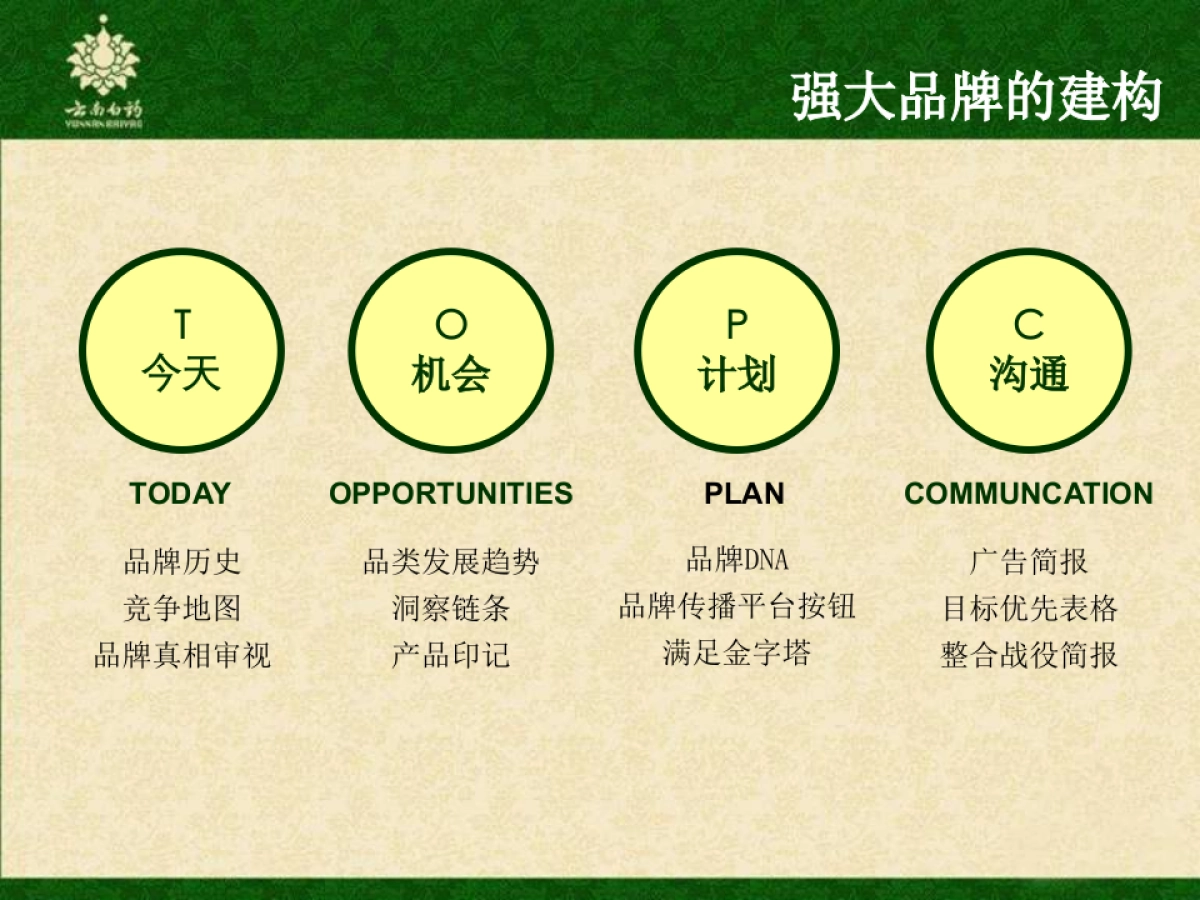 云南白药牙膏品牌传播方案_第2页