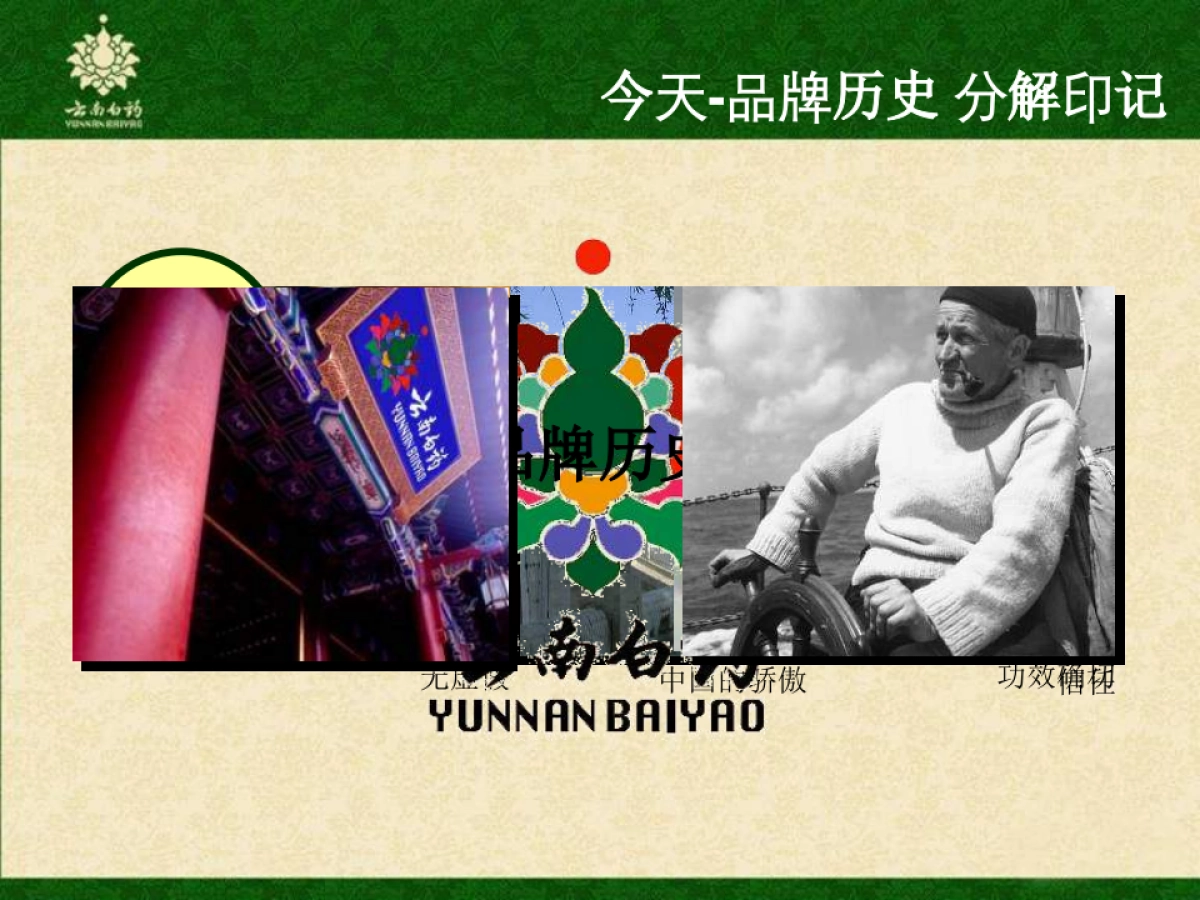 云南白药牙膏品牌传播方案_第3页