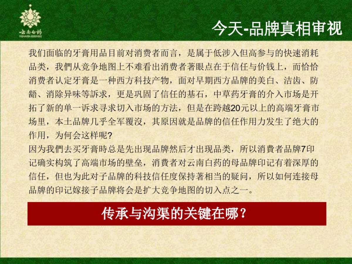 云南白药牙膏品牌传播方案_第5页