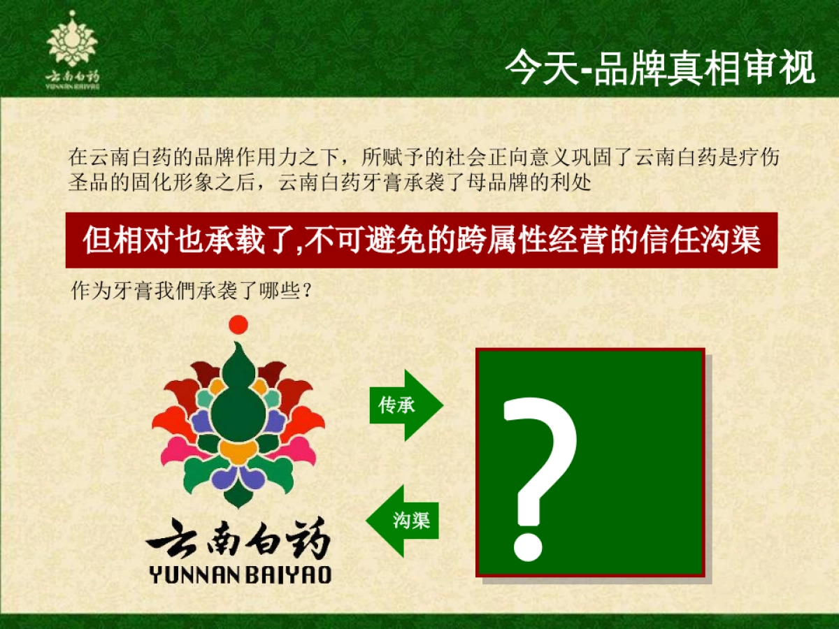 云南白药牙膏品牌传播方案_第6页