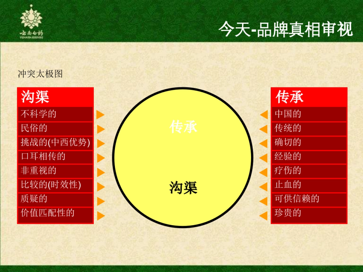 云南白药牙膏品牌传播方案_第7页