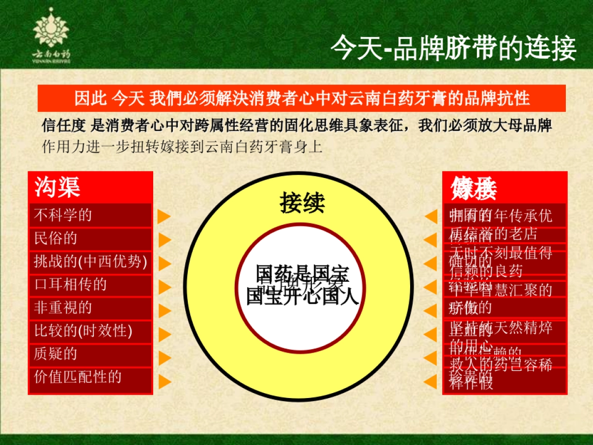 云南白药牙膏品牌传播方案_第9页