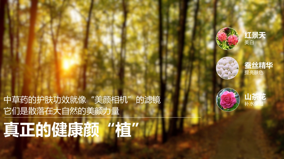 相宜本草social传播方案_第5页