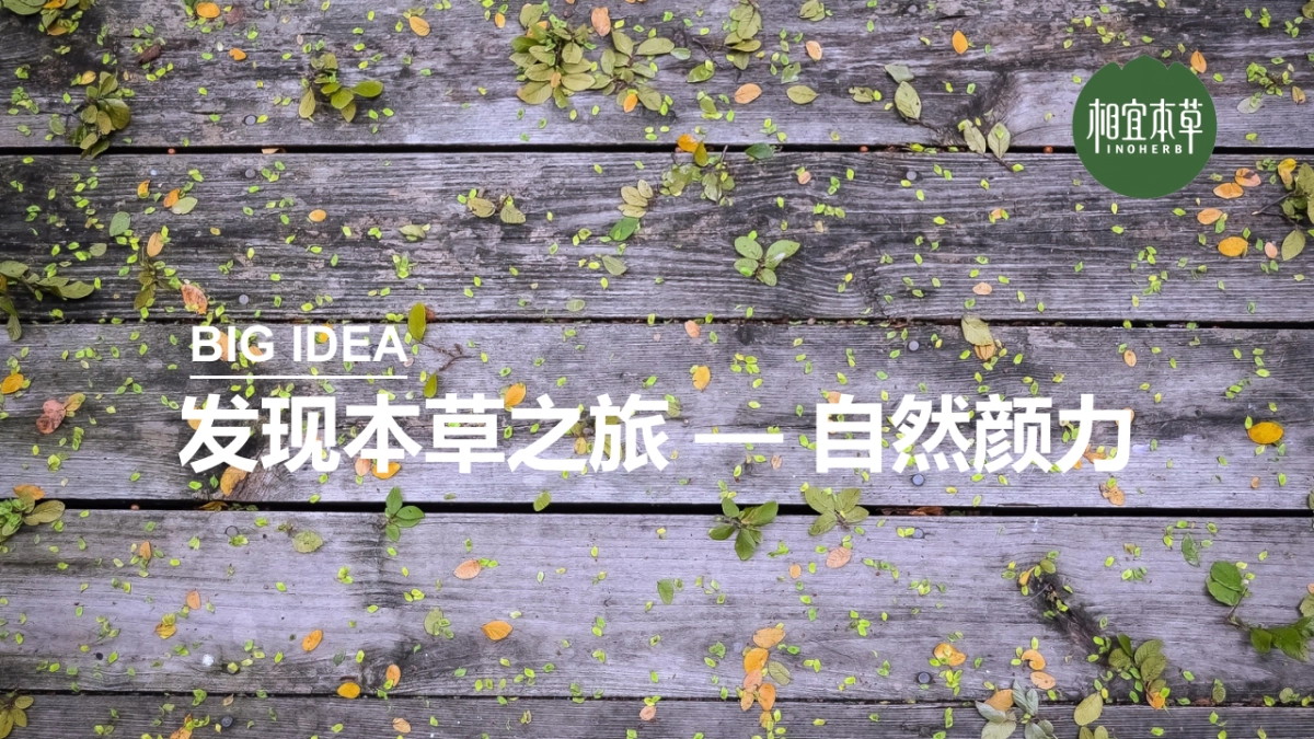 相宜本草social传播方案_第7页