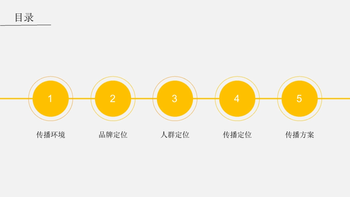 尊乐品牌定位及传播策略928美国汇报_第3页