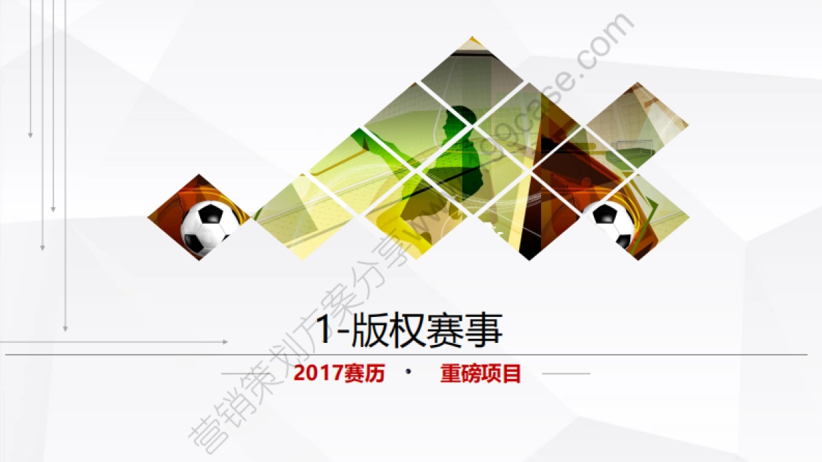 2017乐视体育营销方案-82P_第10页