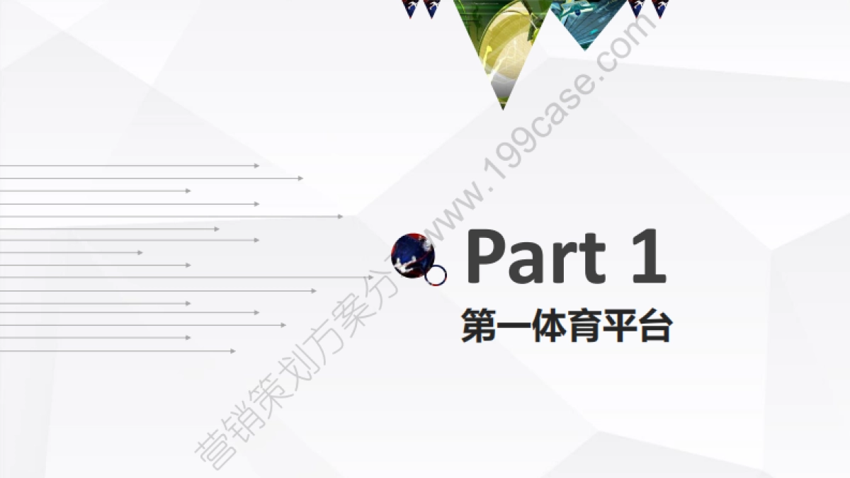 2017乐视体育营销方案-82P_第3页