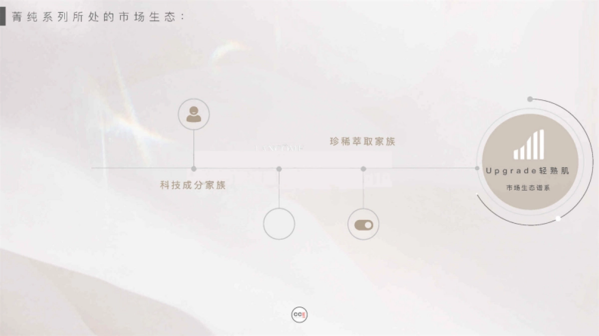 2020兰蔻全新菁纯臻颜系列社会化营销方案-55P_第7页