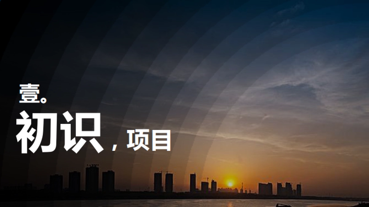 2020世联行-华远海蓝和光项目营销策略提报_第9页