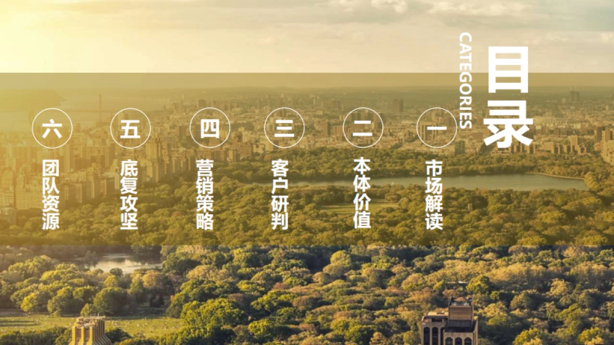 2021合富辉煌-合肥城建·琥珀晴川里项目营销提报_第2页