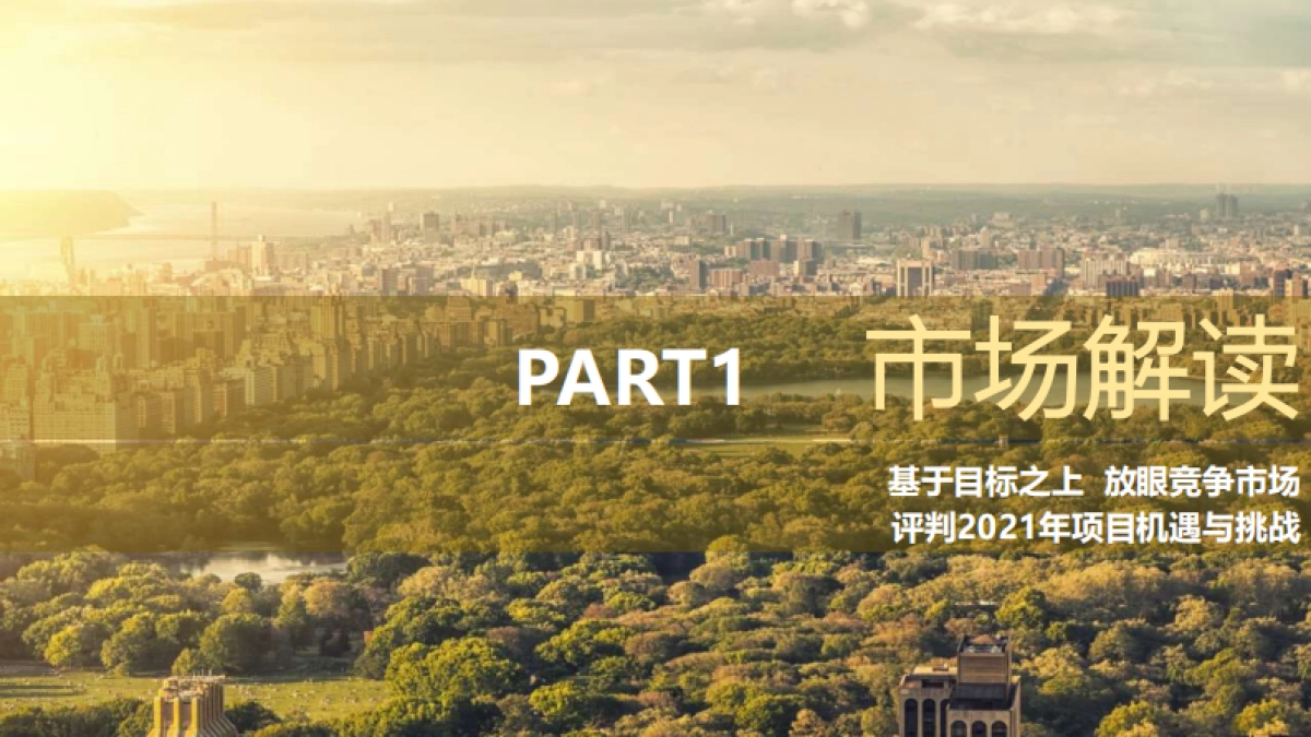 2021合富辉煌-合肥城建·琥珀晴川里项目营销提报_第3页