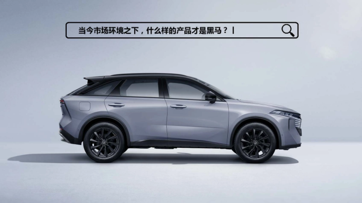 2022东风日产启辰华西区营销方案_第8页