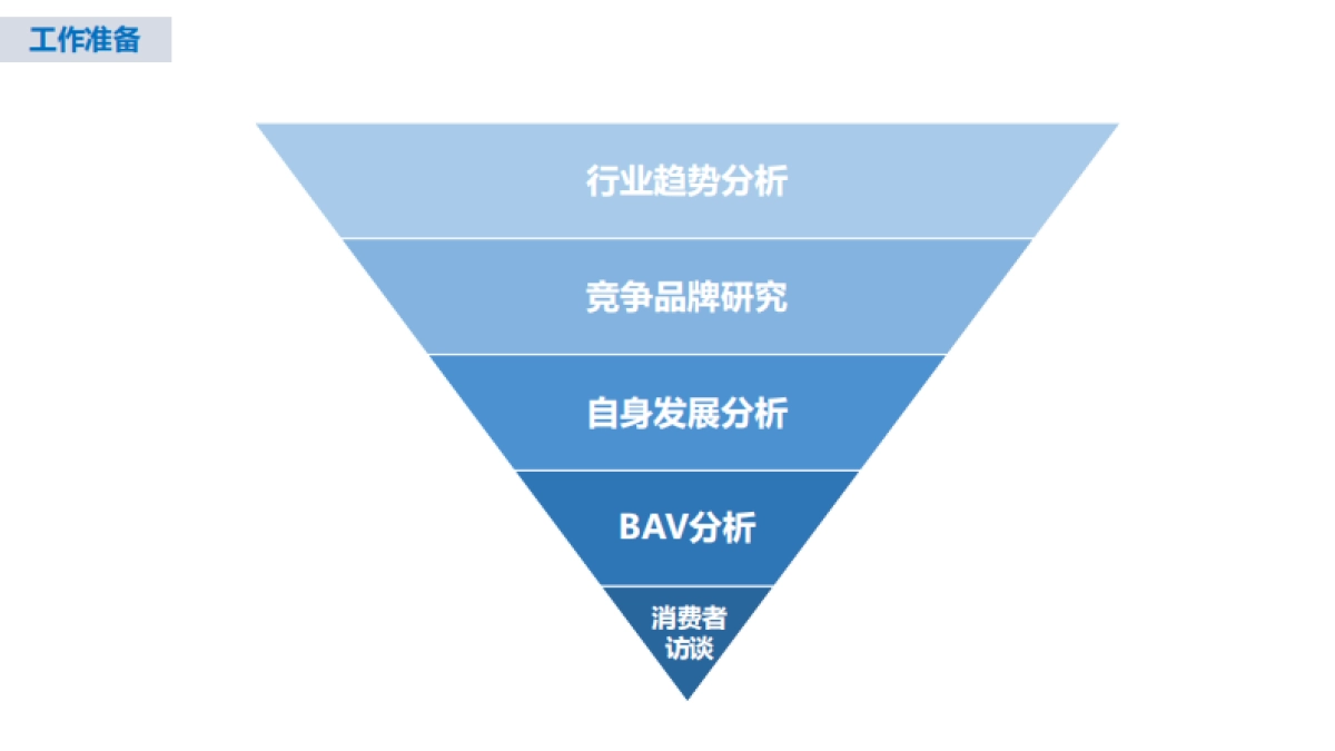 福格森孕妇营养包市场营销策略方案_第5页