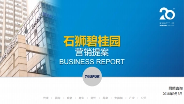 福建石狮碧桂园营销策划全案