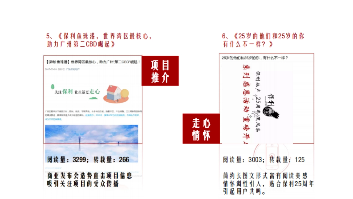 广州A金燕达观-广东保利社会化营销全年案_第9页