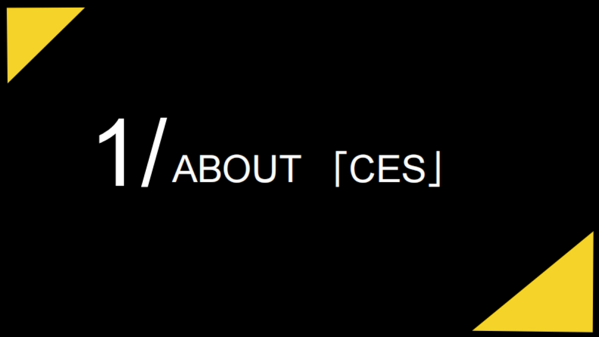 CES-2019极客之夜营销方案_第2页