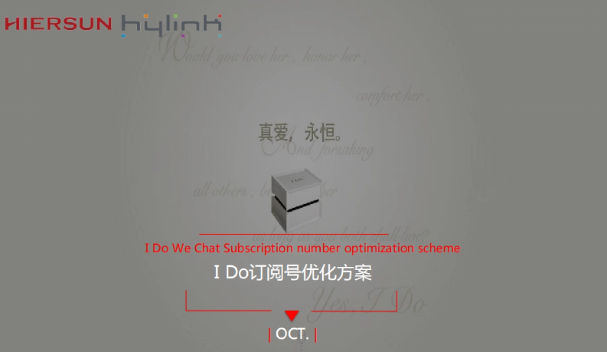 I Do订阅号年度整体规划方案_第1页