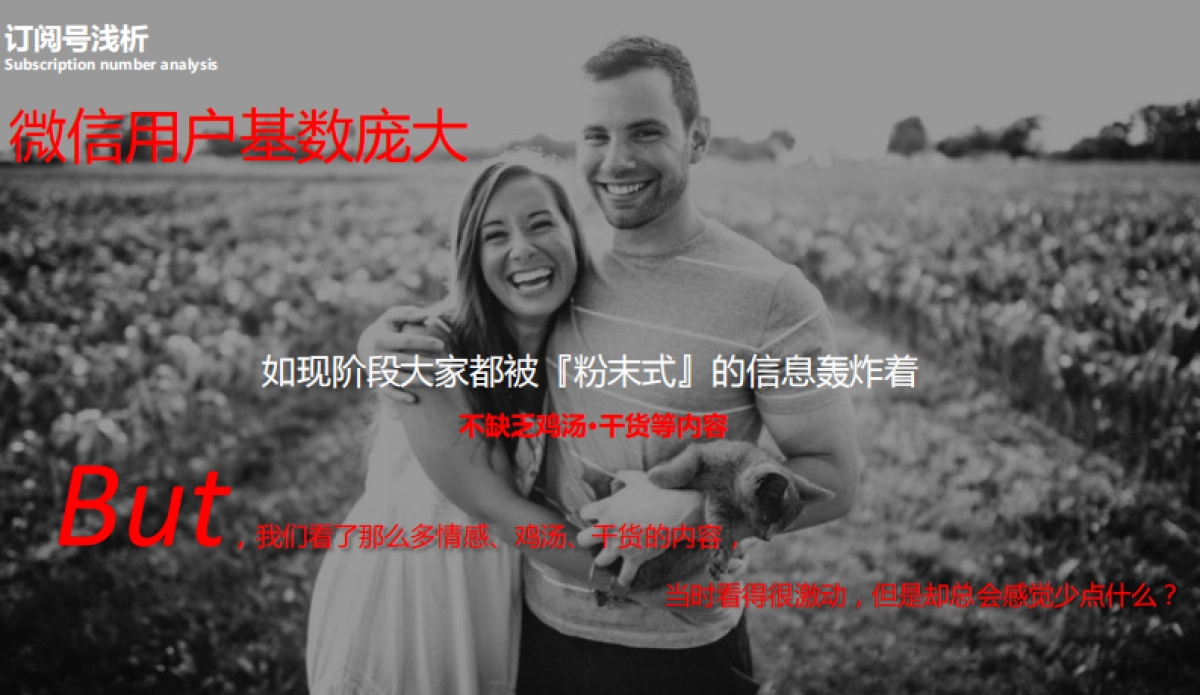 I Do订阅号年度整体规划方案_第5页