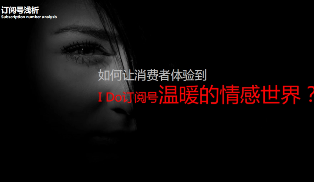 I Do订阅号年度整体规划方案_第7页