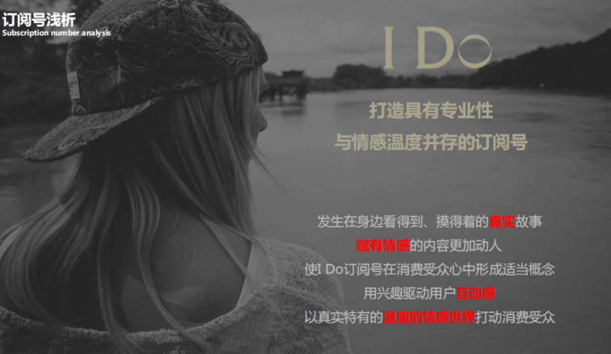 I Do订阅号年度整体规划方案_第8页