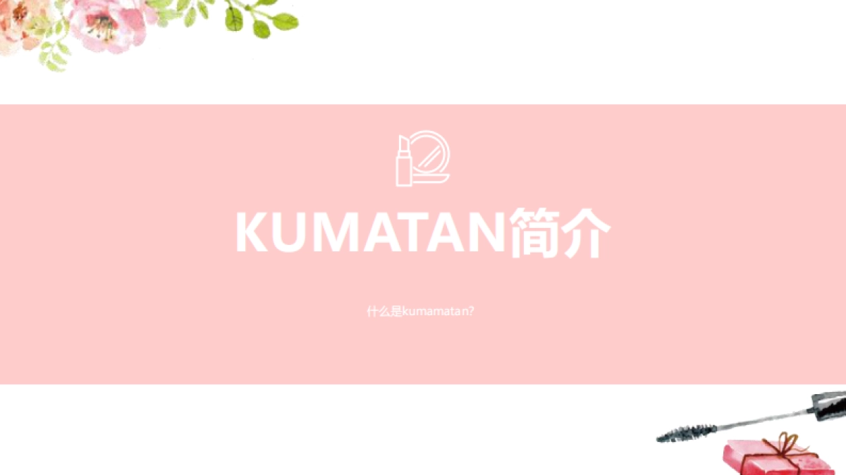 柏蕊诗与kumatan跨界联动营销方案_第3页