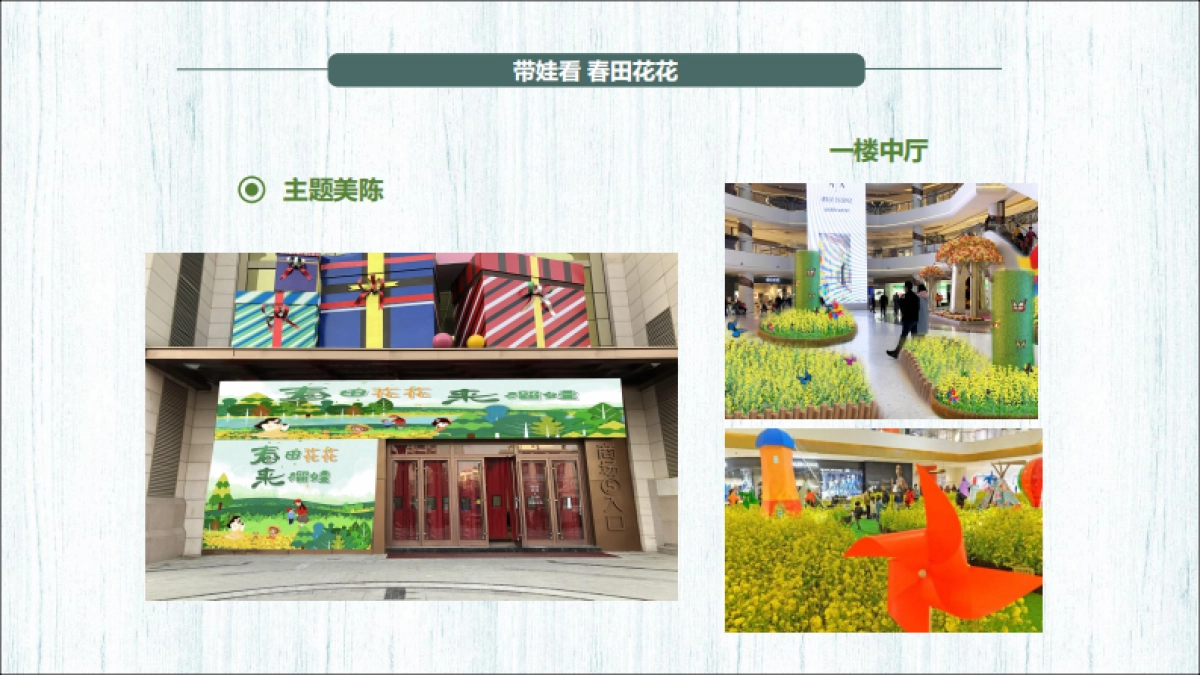 春田花花 来溜娃 营销策划方案.pdf_第9页