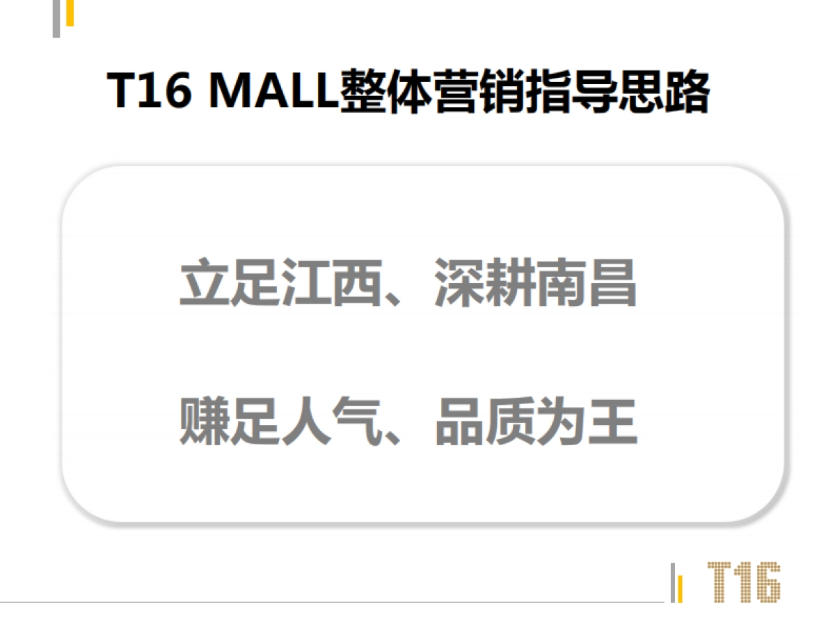 第一季度南昌T MALL营销方案_第2页