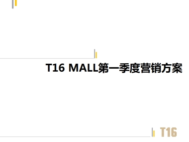 第一季度南昌T MALL营销方案
