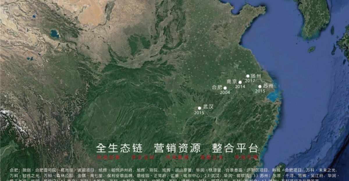 风尚营销泰禾·合肥院子策略提报_第9页