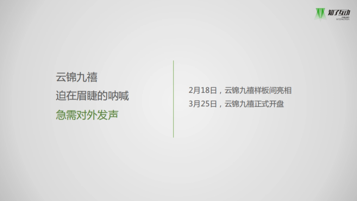 知了互动-云锦九禧网络数字营销方案_第5页