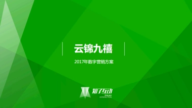 知了互动-云锦九禧网络数字营销方案