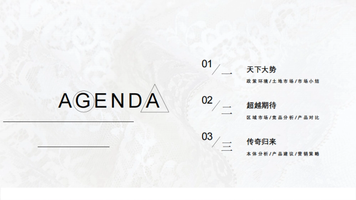 贵棉项目营销提报方案_第2页