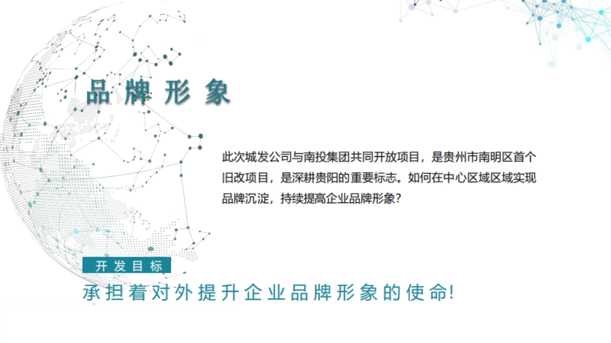 贵棉项目营销提报方案_第3页