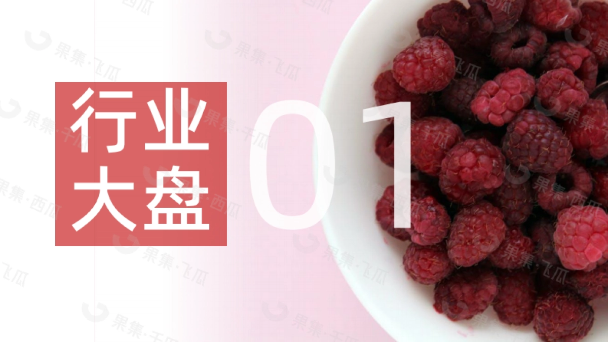 果集：2023年5月食品社媒营销月报_第4页