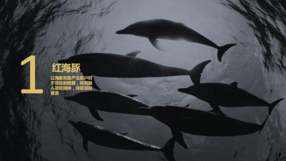 宏运海河湾ii“红海豚”营销活动方案_第4页