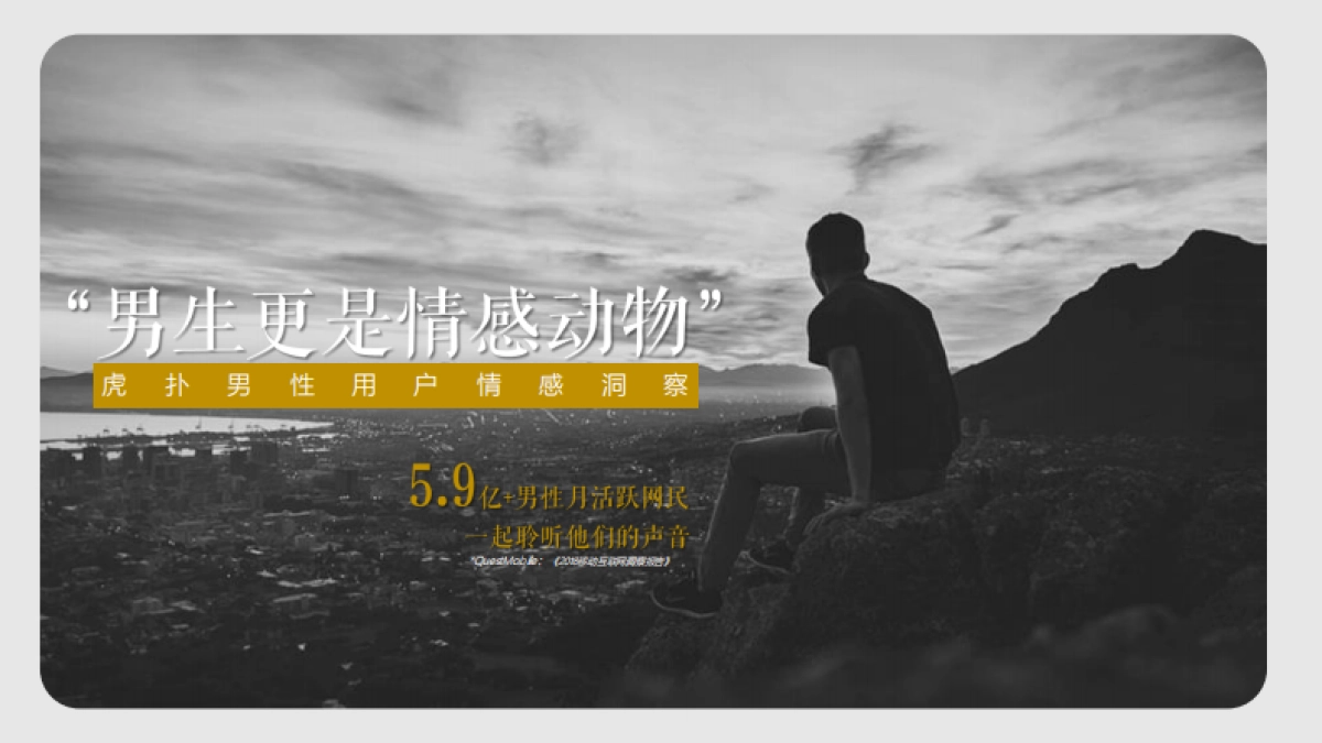 虎扑步行街营销通案_第2页