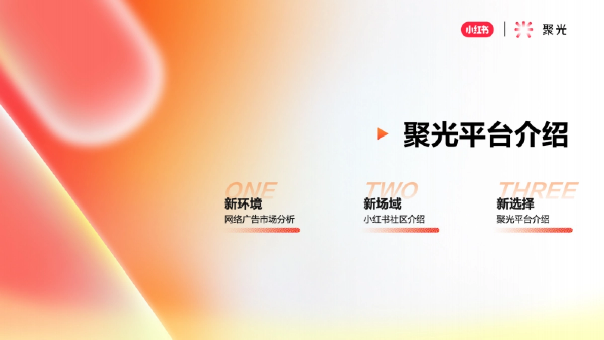 聚光平台营销简案_第3页