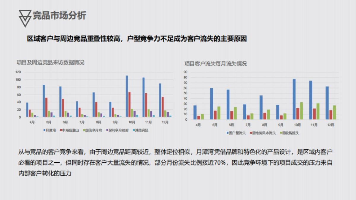 科月潭湾营销策略方案_第5页