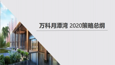 科月潭湾营销策略方案