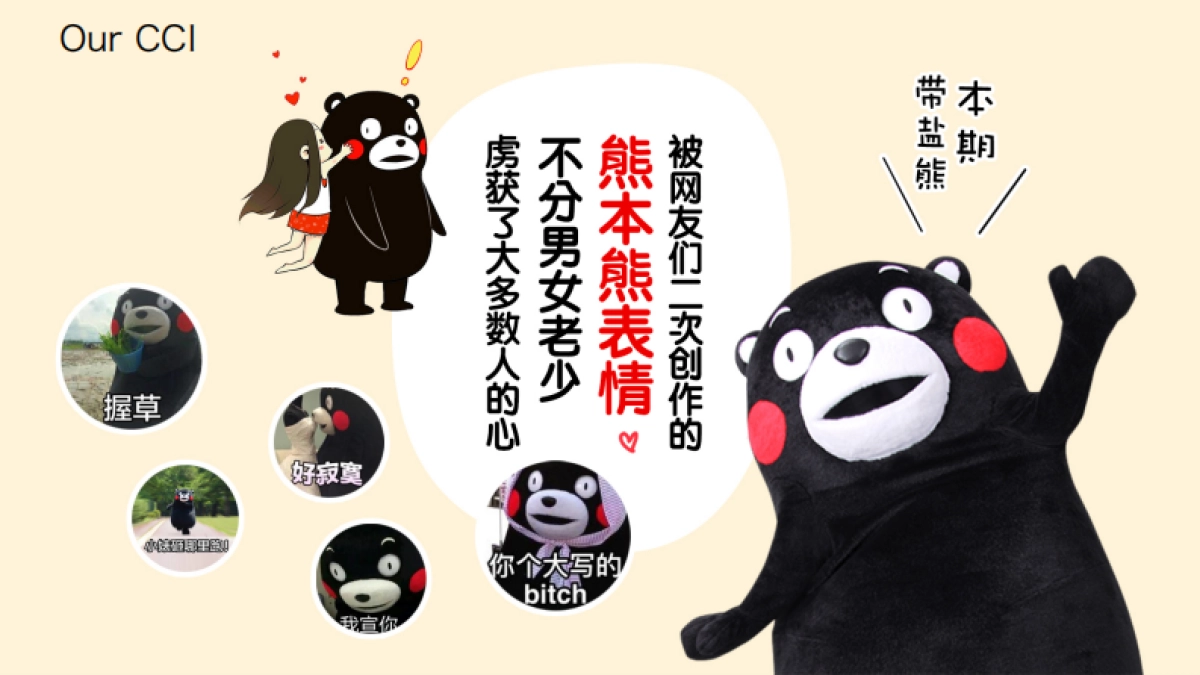 联合利华品类造节营销策划_第7页