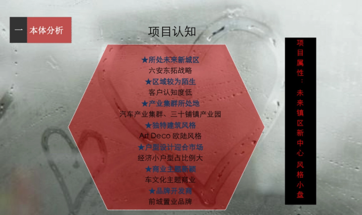 六安商业营销提报_第3页