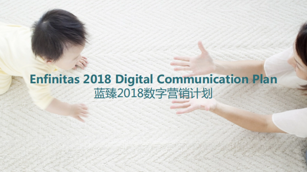 美赞臣蓝臻数字营销计划思路_第1页