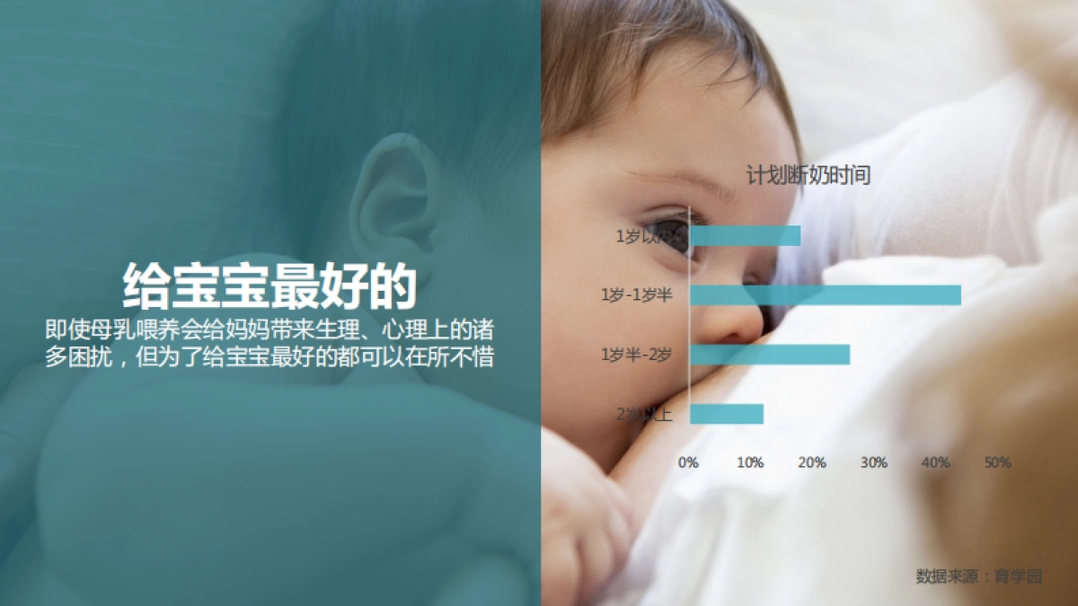 美赞臣蓝臻数字营销计划思路_第10页