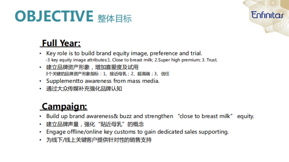 美赞臣蓝臻数字营销计划思路_第2页