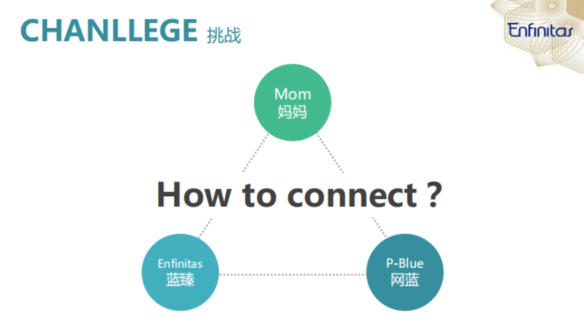 美赞臣蓝臻数字营销计划思路_第4页